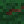 Acorn_Pie