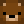 BearGamer2025