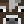 Cowy_Guy2