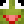 CremateTheFrog