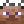 Didothegoat