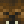 DogFace1719