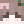 Midnight_Mochl