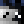 MisterPenguiin