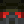 Noob_Nuke