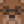 PookBear12