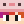 Rhau_sh