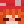 Shrum_Turtle