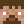 ToruDonu
