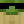 cypiscroccodilo