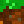 stormygrass