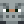 swagmaster579