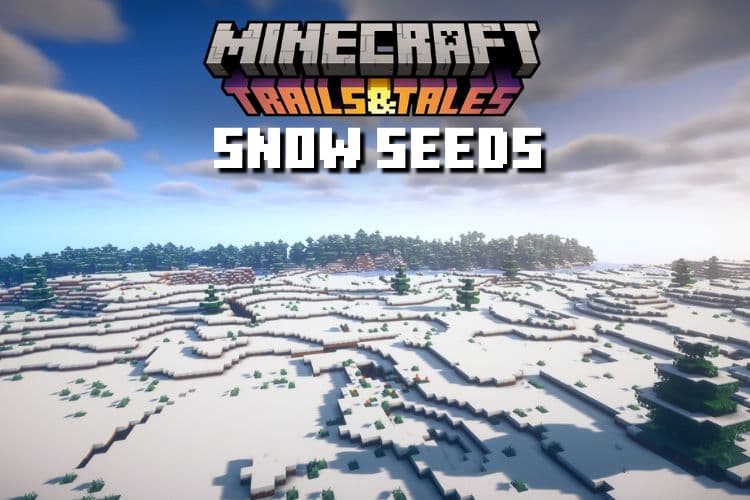 6 Best Minecraft 1.20 Snow Biome Seeds (July 2023)