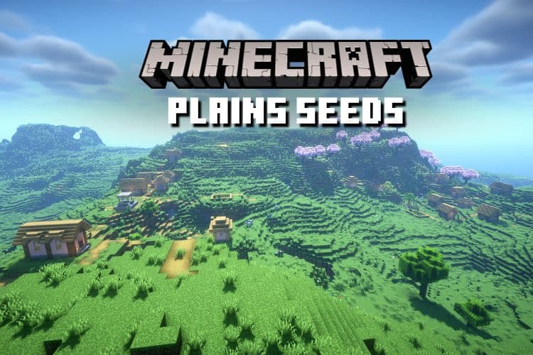 12 Best Minecraft Plains Biome Seeds You Need in 2024