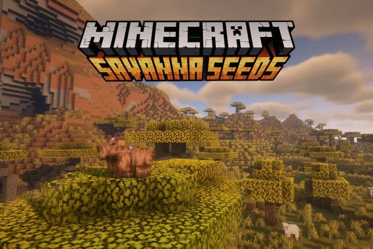 12 Best Minecraft Savanna Seeds to Find Armadillos