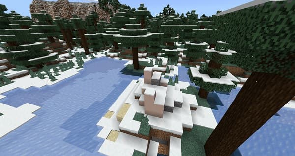 Young woman smiling while holding a credit card.