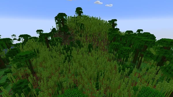 No image provided. Please provide an image to generate alt text.