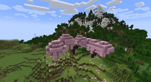 A lone wooden park bench sits on a grassy field with trees in the background.