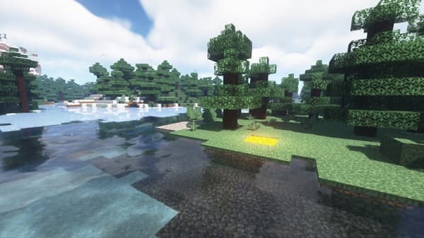 A black dog wearing a red collar runs through a field.