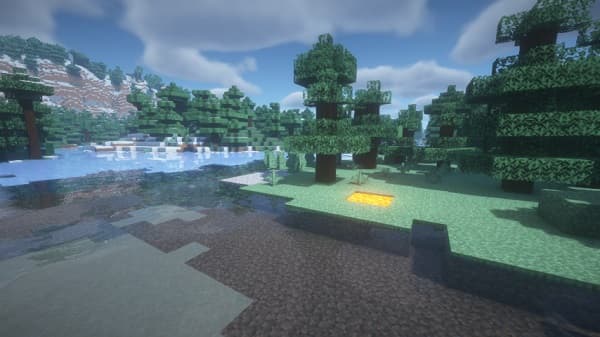 A vibrant close-up of a hummingbird feeding from a purple flower.