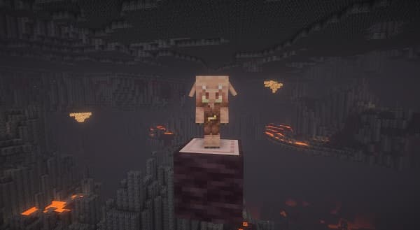 Minimalist gray background.