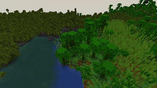 Black textured surface