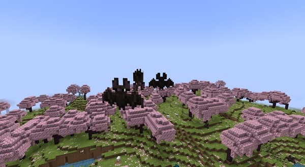 Empty office chairs waiting for employees to arrive.