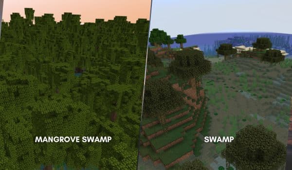 Close-up of a vibrant, healthy green plant with dew drops on its leaves, symbolizing growth.