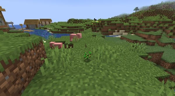 Two friends laughing and enjoying themselves outdoors.