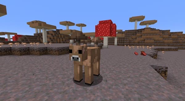 [No context available for the image. Please provide image or description for accurate alt text.]