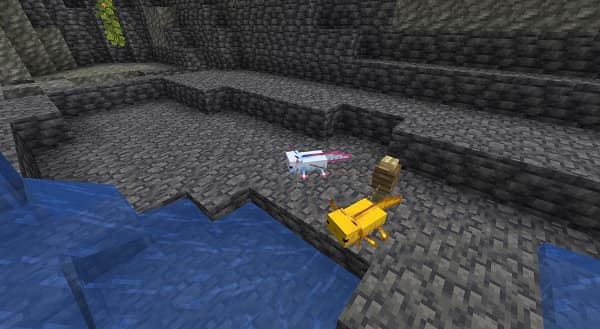 [No focus keyphrase provided - please provide one for optimal SEO.]