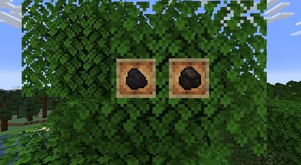 Young woman smiling while holding a smartphone.