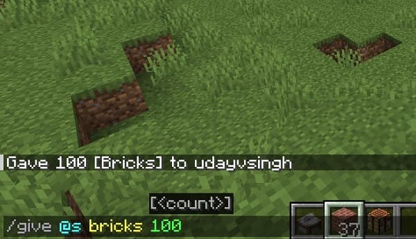 A minimalist and modern living room with a gray sofa and a potted plant.