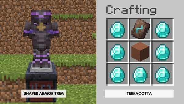 A close-up shot of a cat's eye.