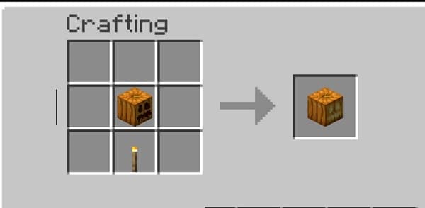 A blurred, out-of-focus background with a soft light source, possibly a window.