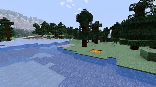 A vibrant array of colorful flowers in full bloom.