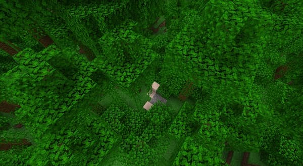 Close-up of a blurred green Christmas tree with a single glowing ornament.