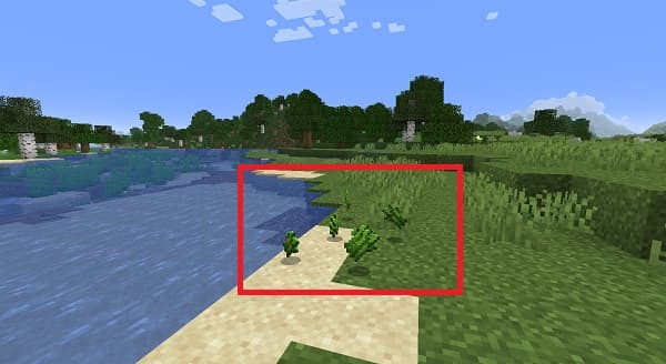 Minecraft Easy Paper: How to Make It Fast!