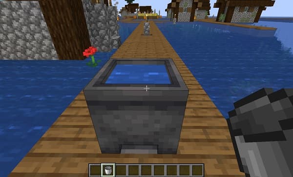 White flower with green leaves and a blurred background.