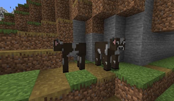 Woman smiling at camera with a city blurred in the background