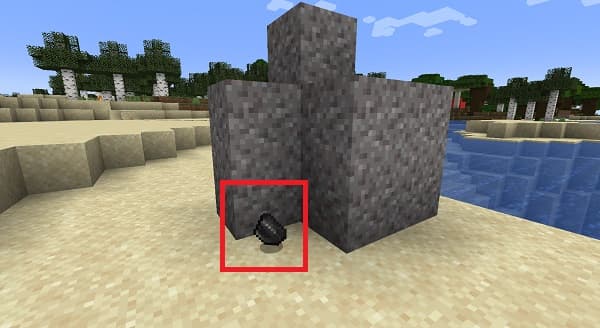 A close-up of a vibrant, healthy green plant with broad leaves, possibly an ornamental houseplant.