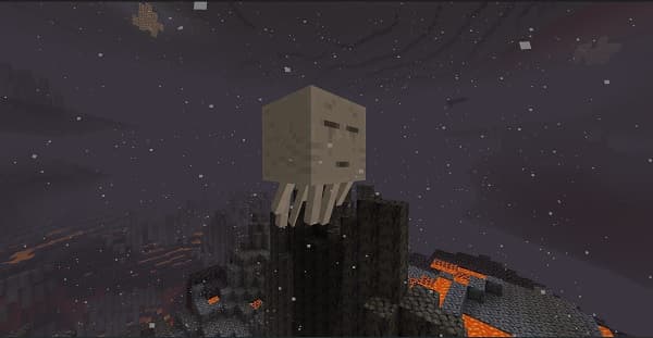 A detailed close-up of a vibrant, healthy green plant with broad leaves and visible veins.