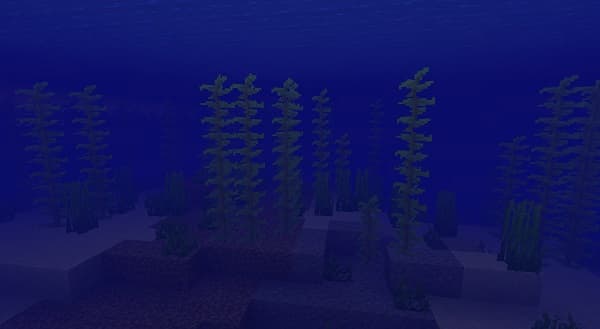 Black laptop on a white desk with a pen, notebook, and a small plant.