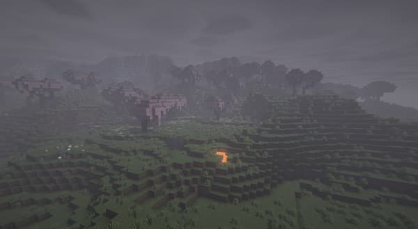 Close-up of a vibrant sunflower against a blurred green background.