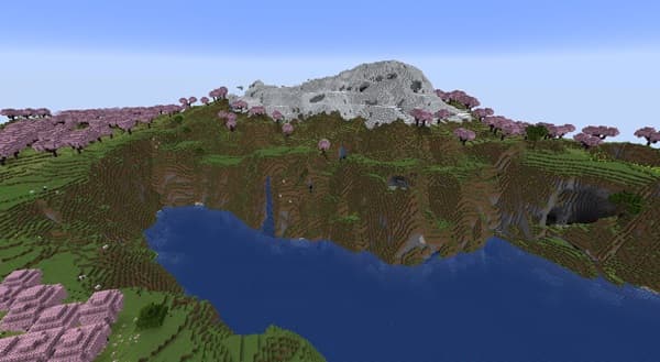 A modern, minimalist office workspace with a laptop and plant on a light wood desk.