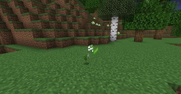 An empty field of tall green grass and a clear blue sky.