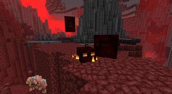 A black dog with a brown collar sits attentively.