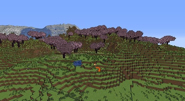 A close-up of a vibrant, healthy green plant with broad leaves, possibly a houseplant.