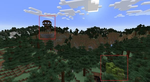 Close-up of a blurred green succulent plant with water droplets on its leaves.