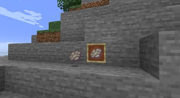 Close-up of a vibrant, healthy green plant with dew drops on its leaves, symbolizing growth.